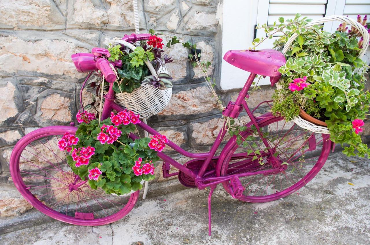 Milica Garden Daire Prvic Sepurine Dış mekan fotoğraf