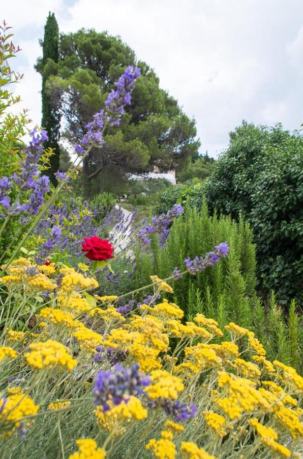 Milica Garden Daire Prvic Sepurine Dış mekan fotoğraf
