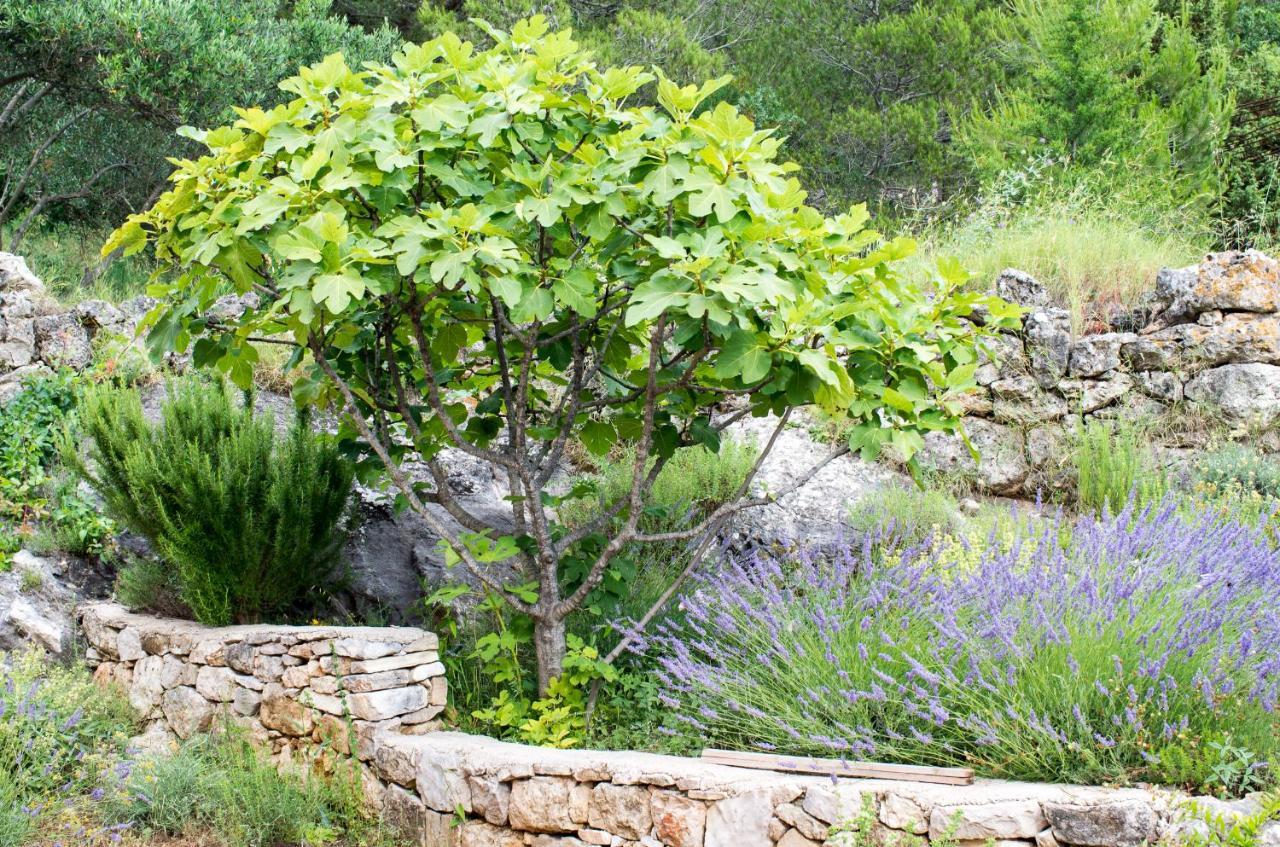 Milica Garden Daire Prvic Sepurine Dış mekan fotoğraf