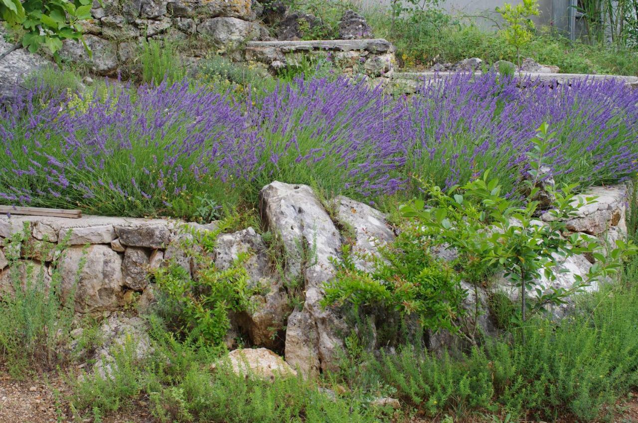 Milica Garden Daire Prvic Sepurine Dış mekan fotoğraf