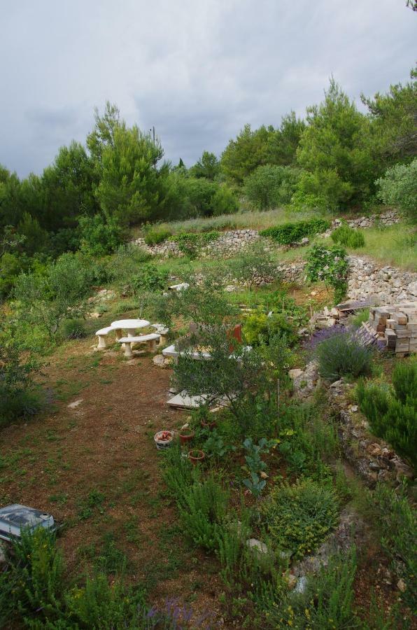 Milica Garden Daire Prvic Sepurine Dış mekan fotoğraf